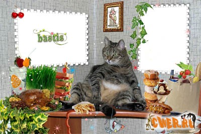 Рамка для фото с кошкой