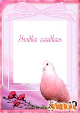 Рамка для фото  с голубем