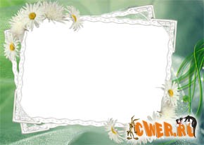 ramka_romashka