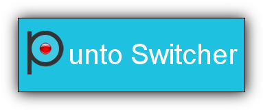 Punto Switcher