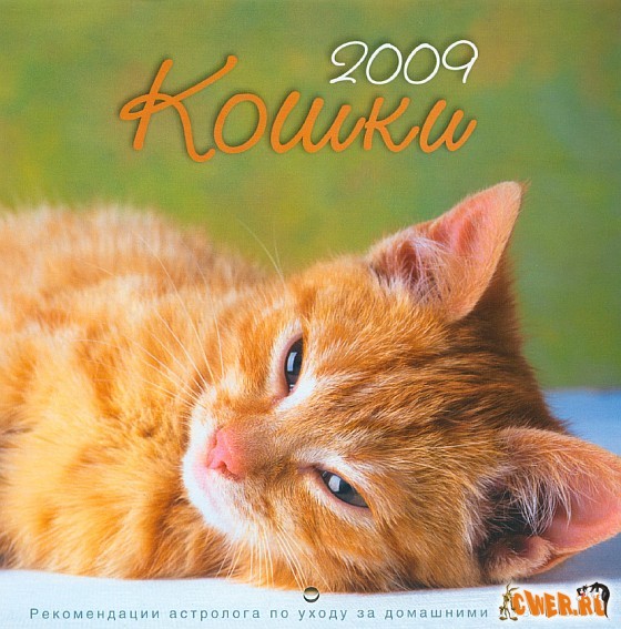 Кошки 2009