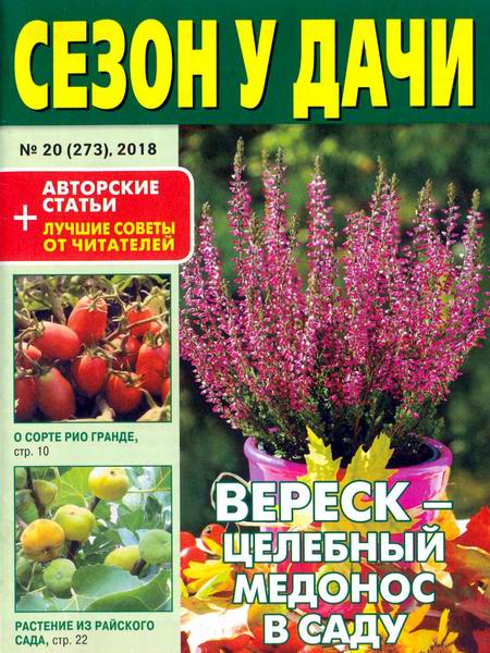 журнал газета Сезон у дачи №20 октябрь 2018