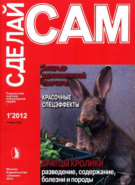 Сделай сам №1 2012