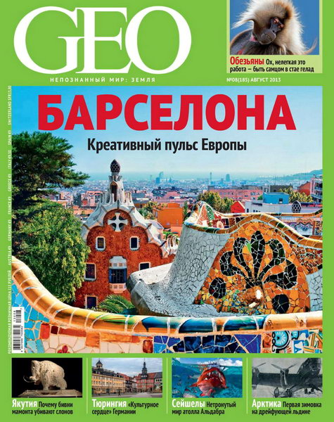 GEO №8 2013