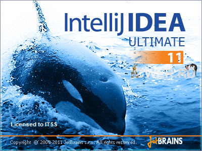 IntelliJ IDEA 11.0 Ultimate Edition