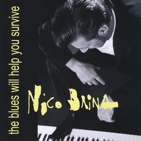 Nico Brina - The Blues Will Help You Survive (2012)