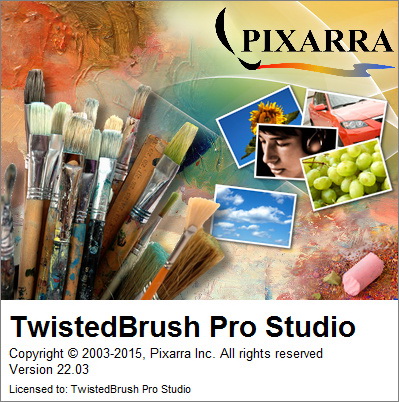 TwistedBrush Pro Studio