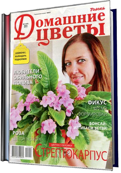 цветы