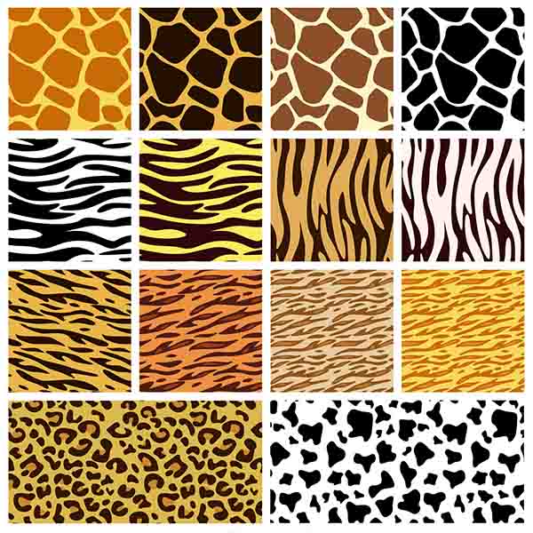 Animals skin patterns (Cwer.ws)