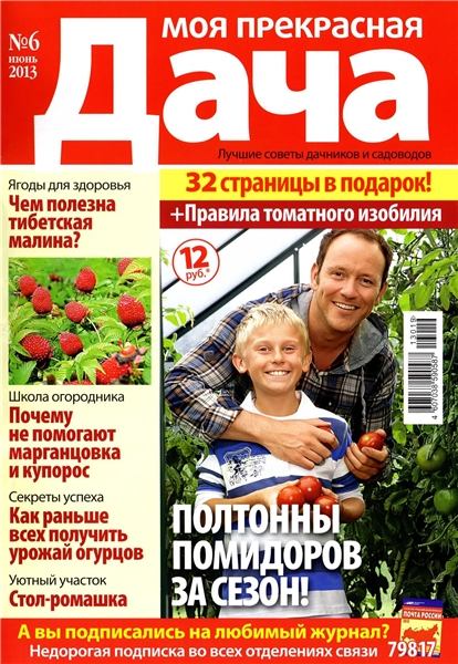 Моя прекрасная дача №6 2013