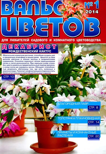 Вальс цветов №1 2014