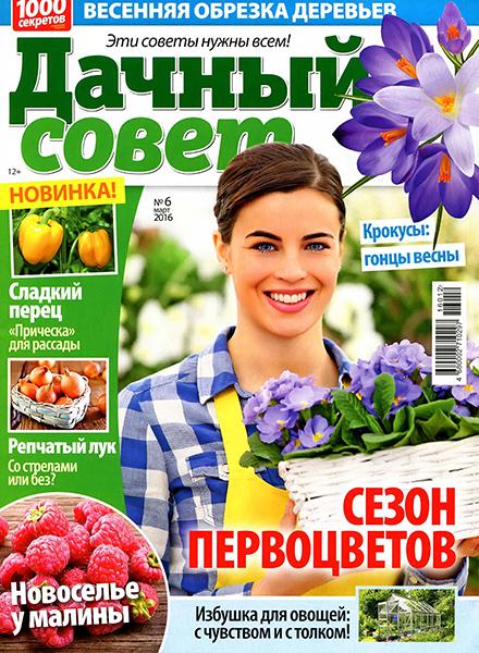 Дачный совет №6 2016