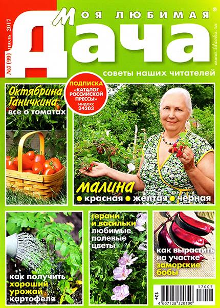 Моя любимая дача №7 2017