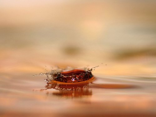 Beautiful Water Drops