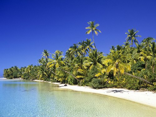 Wallpapers - Tropical Paradise