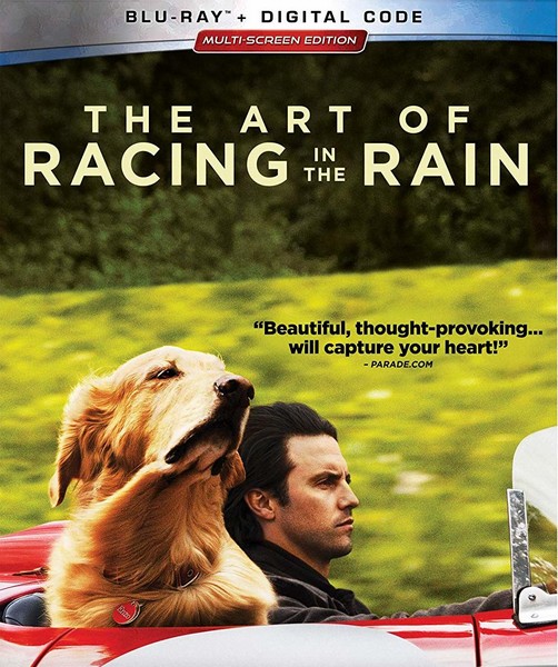 The Art of Racing in the Rain