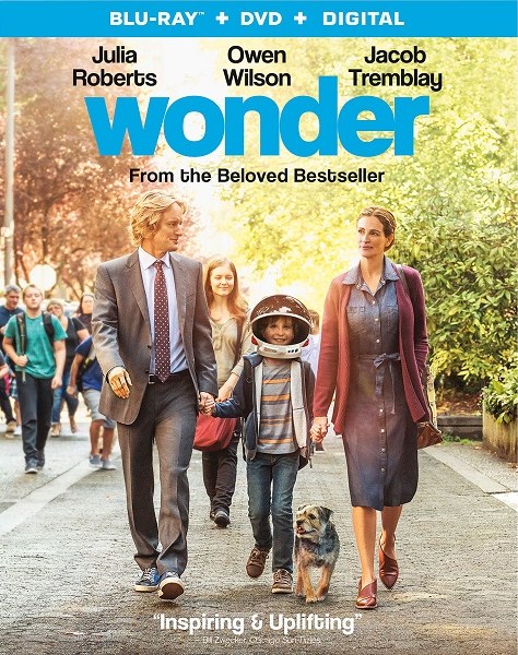 Wonder