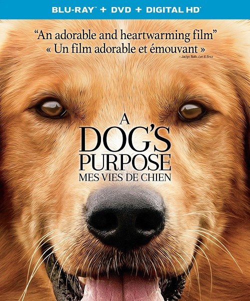 A Dog's Purpose