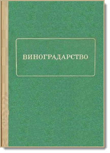 Н. Д. Перстнёв. Виноградарство