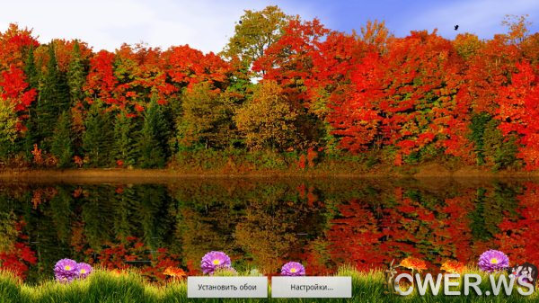 Autumn Lake Live Wallpaper