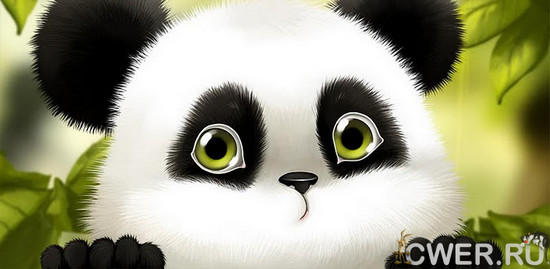 Panda Chub Live Wallpaper