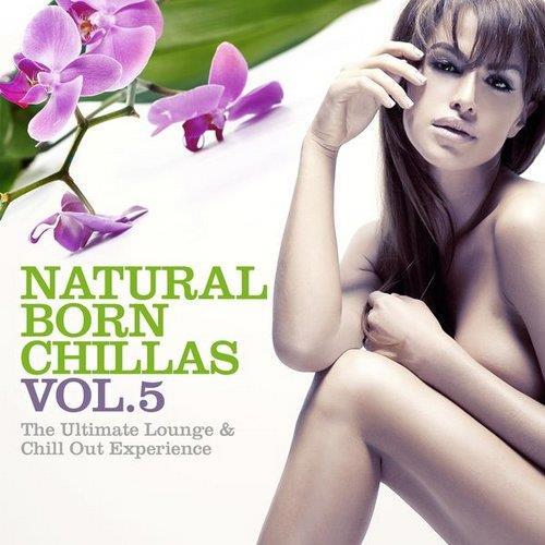 Natural Born Chillas Vol. 5: The Ultimate Lounge & Chill Out Experience (2014)