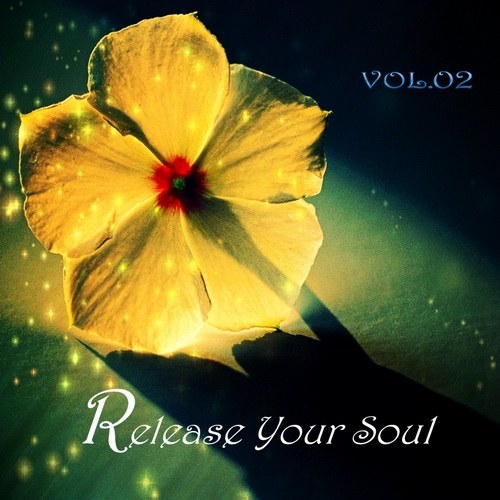 скачать Release your soul vol. 2 (2011)