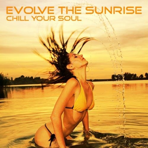 скачать Evolve The Sunrise. Chill Your Soul (2011)