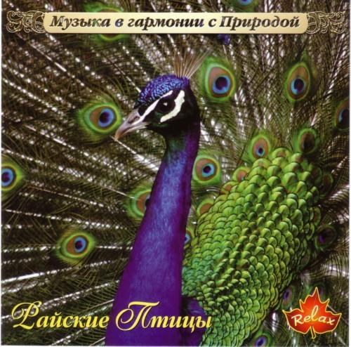 Музыка в гармонии с природой: Kenio Fuke, Nature Project, Gallo, PC Bernardes, Levantis, Carlos Slivskin 11 CD (2002-2005)