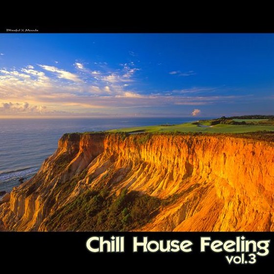 скачать Chill House Feeling Vol 3 (2012)