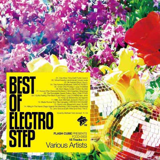 Best of Electro Step (2012)