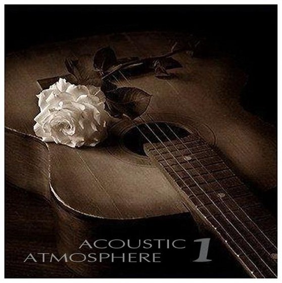 Acoustic Atmosphere 1 (2013)