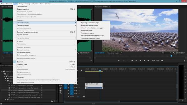 Adobe Premiere Pro CC