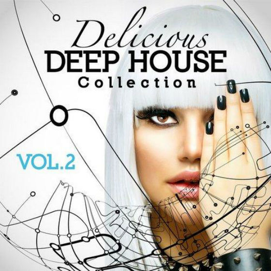 Delicious Deep House Collection Vol.2