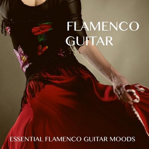 Flamenco Guitar