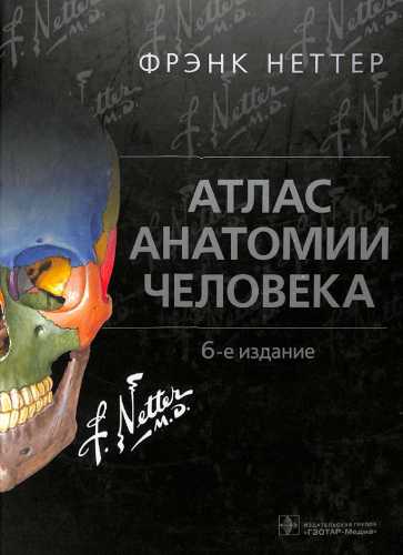 Фрэнк Неттер. Атлас анатомии человека