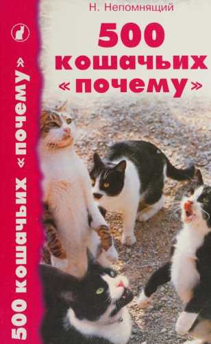 500 кошачьих почему