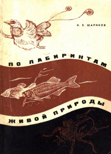 По лабиринтам живой природы