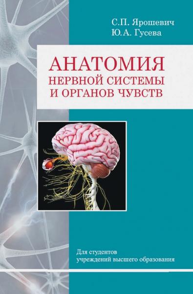 Анатомия нервной системы и органов чувств