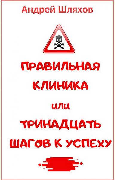 Андрей Шляхов. равильная клиника, или 13 шагов к успеху