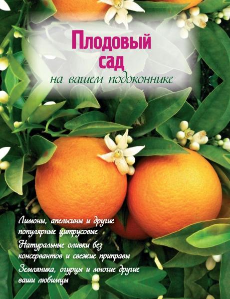 Н. Власова. Плодовый сад на вашем подоконнике