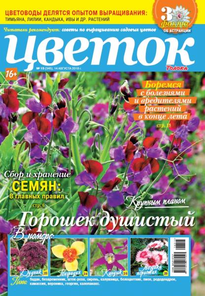 Цветок №15 (август 2018)