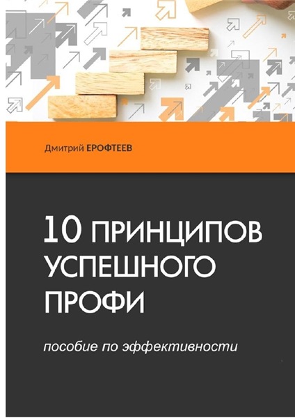 Д. Ерофтеев. 10 принципов успешного профи. Пособие по эффективности