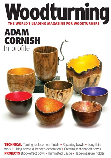 Woodturning №313 (Winter 2017)