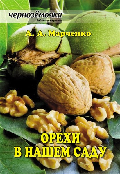 Андрей Марченко. Орехи в нашем саду