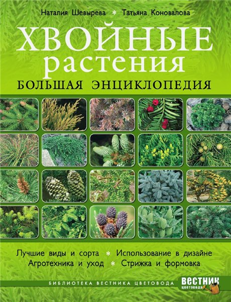 Н. Шевырева. Хвойные растения. Большая энциклопедия