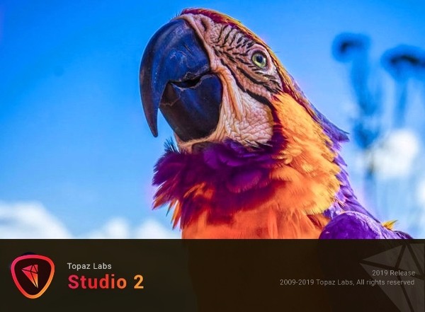 Topaz Studio 2