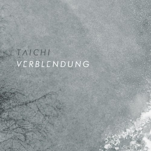 Taichi. Verblendung