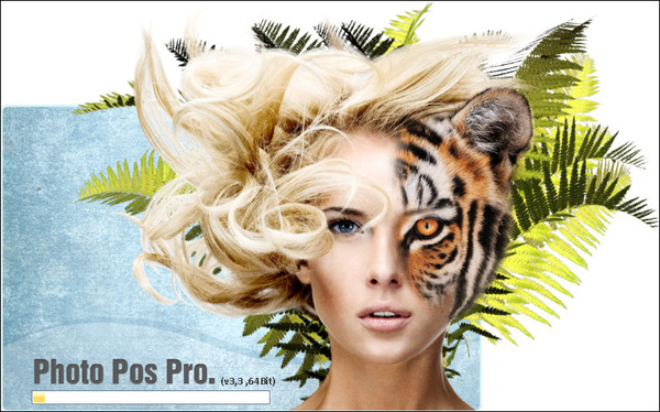 Photo Pos Pro Premium