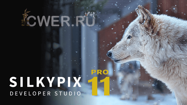 SILKYPIX Developer Studio Pro